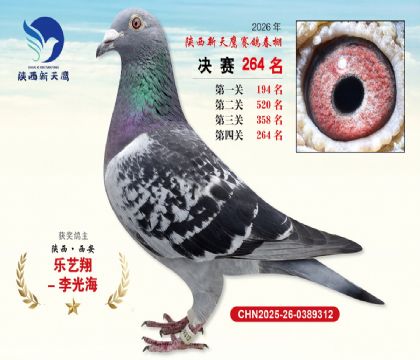 ��������ӥ����264��