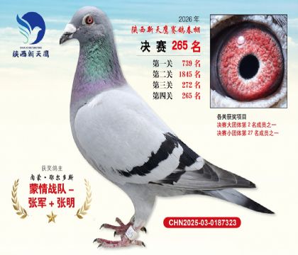 ��������ӥ����265��