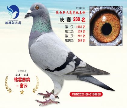 ��������ӥ����268��