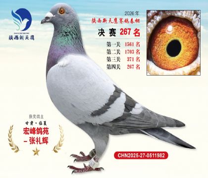 ��������ӥ����267��