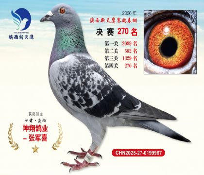 ��������ӥ����270��