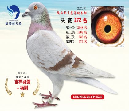��������ӥ����272��