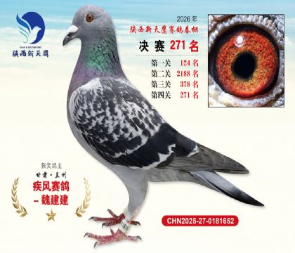 ��������ӥ����271��