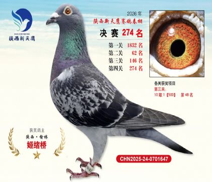 ��������ӥ����274��