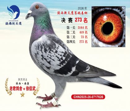 ��������ӥ����273��
