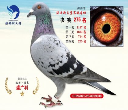 ��������ӥ����275��