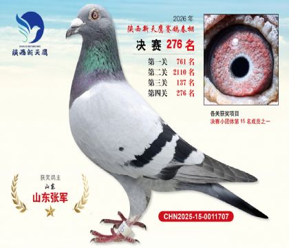 ��������ӥ����276��