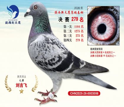 ��������ӥ����279��