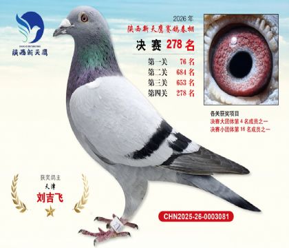 ��������ӥ����278��