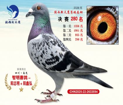 ��������ӥ����280��