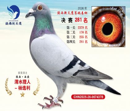 ��������ӥ����281��