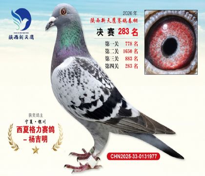��������ӥ����283��