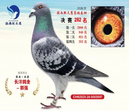 ��������ӥ����282��
