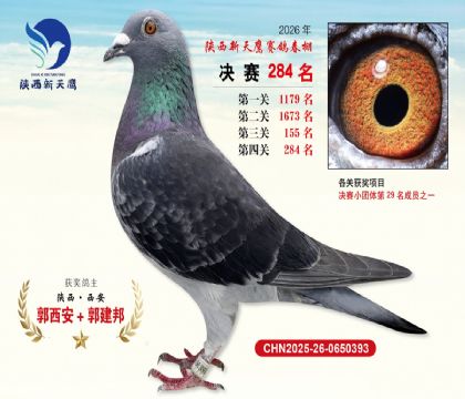 ��������ӥ����284��