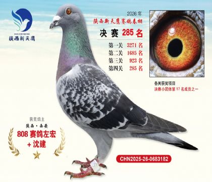 ��������ӥ����285��