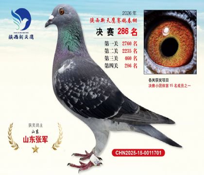 ��������ӥ����286��