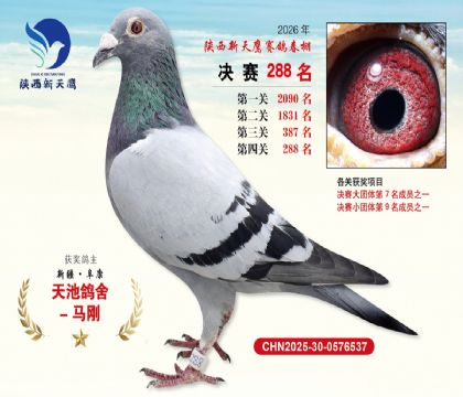 ��������ӥ����288��