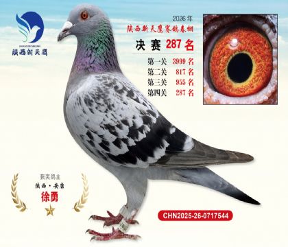 ��������ӥ����287��