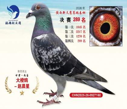 ��������ӥ����289��