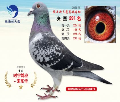 ��������ӥ����291��