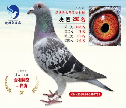 ��������ӥ����293��