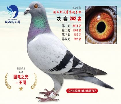 ��������ӥ����292��