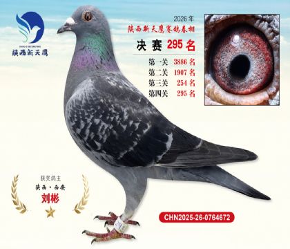 ��������ӥ����295��