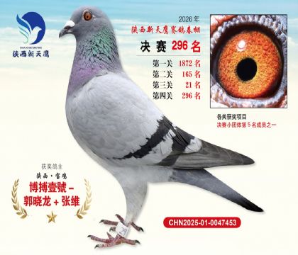 ��������ӥ����296��