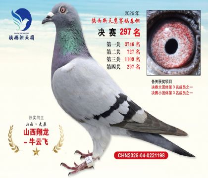 ��������ӥ����297��