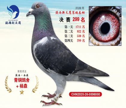 ��������ӥ����299��