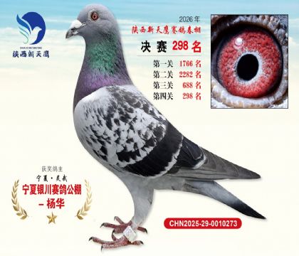 ��������ӥ����298��