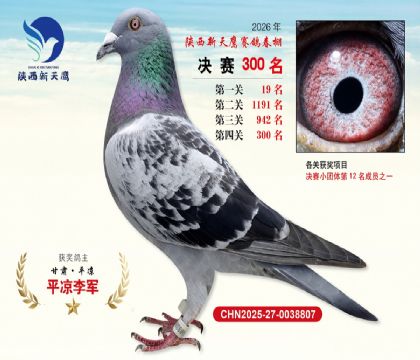 ��������ӥ����300��