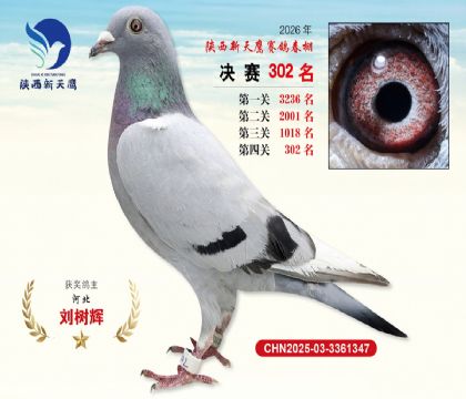 陕西新天鹰决赛302名