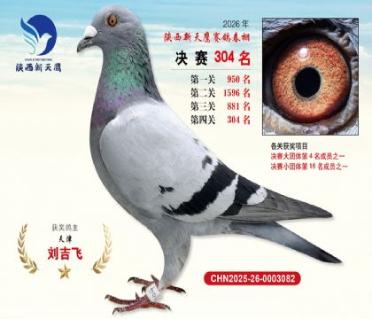 陕西新天鹰决赛304名