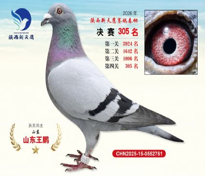 陕西新天鹰决赛305名