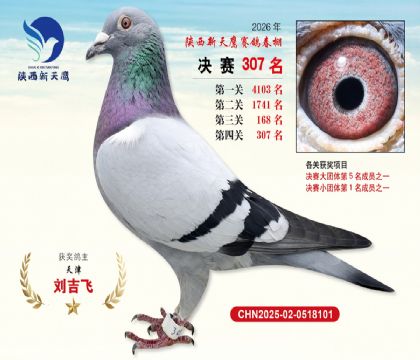 陕西新天鹰决赛307名