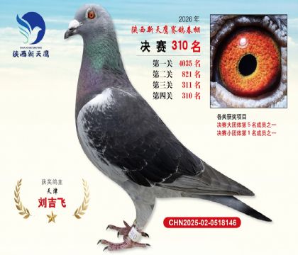 陕西新天鹰决赛310名