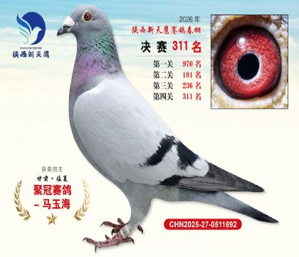 陕西新天鹰决赛311名