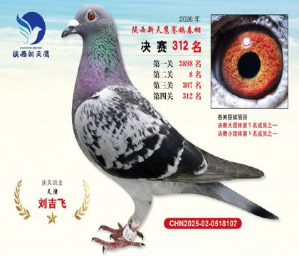 陕西新天鹰决赛312名