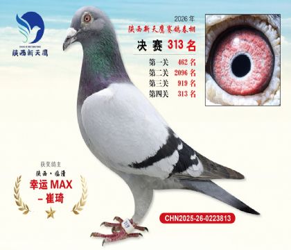 陕西新天鹰决赛313名