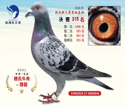 陕西新天鹰决赛315名