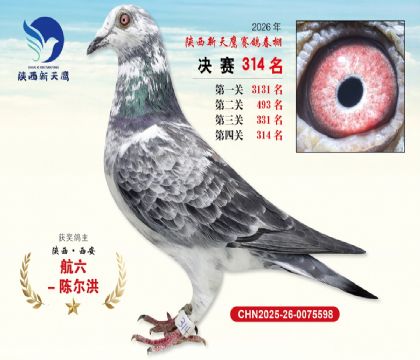 陕西新天鹰决赛314名