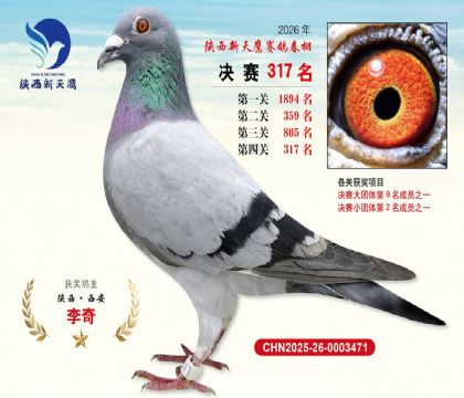 陕西新天鹰决赛317名