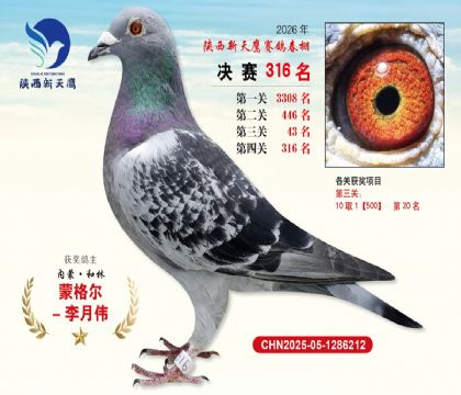 陕西新天鹰决赛316名