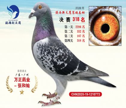 陕西新天鹰决赛318名