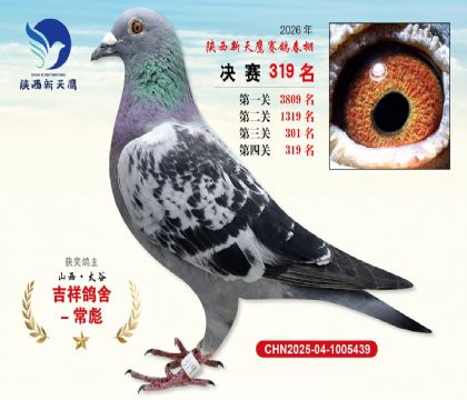 陕西新天鹰决赛319名