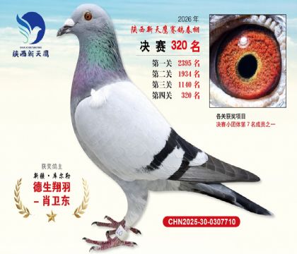 陕西新天鹰决赛320名