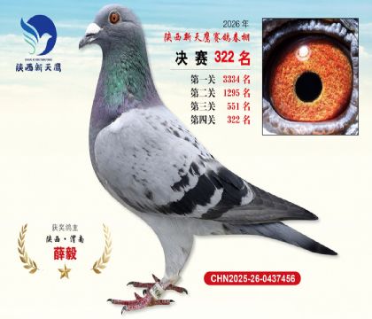 陕西新天鹰决赛322名