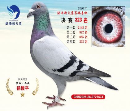 陕西新天鹰决赛323名