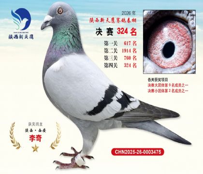 陕西新天鹰决赛324名